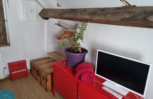 Parc-Chevreul Casa | Chez damdam et titi