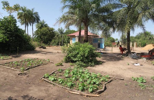 Kafountine Cama Y Desayuno | Chez Fatou et Saladin