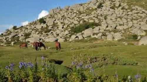 Cozzano Apartamento | chez LULU appartement neuf au coeur de cozzano