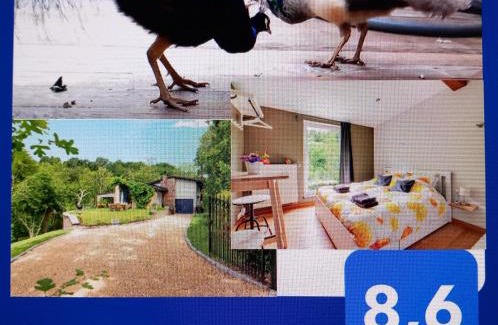 Aywaille Casa | Chez Madame Irma