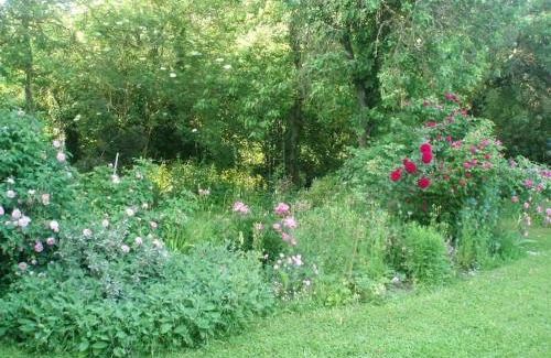 Balnot-sur-Laignes Casa | CHEZ MARGARET