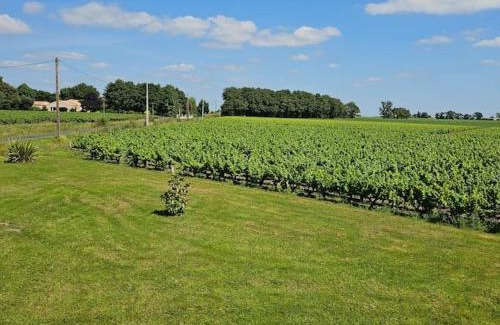 Chateau-Thebaud Apartamento | Chez Pascal Sissi -Au Coeur de Vignes, parking free