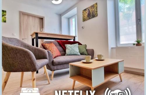 Guebwiller Apartamento | Chez Patisa - Business and Tourism - RBNB