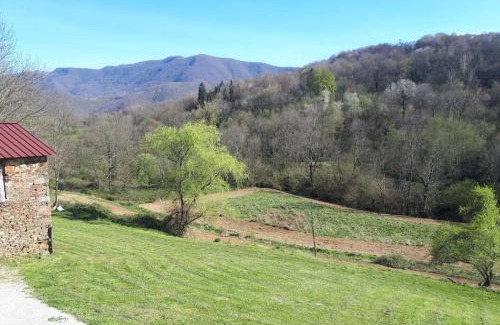Chein-Dessus Casa | Chez Sagaret
