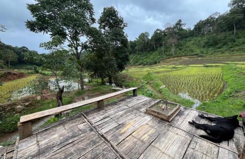 Samoeng Casa | Chibacall ชิบะคอล Karen Mountains Hideaway Homestay
