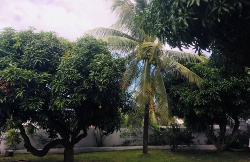 Rodney Bay Apartamento | Chic apart in Rodney Bay complete with A/C and internet access.