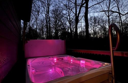 Carbondale Casa | Chic Modern Cabin with Jacuzzi Ideal for Couples in Carbondale, Illinois