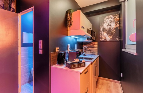 Drusenheim Apartamento | Chic Studio Black & Gold | Business & Romantic Stay | Netflix, - Near Strasbourg