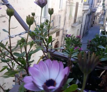 Altamura Casa | chicchinella