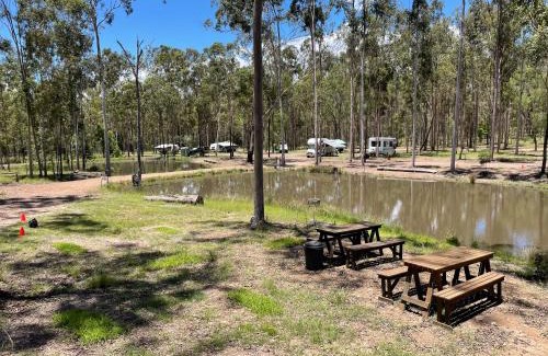 South Isis Otro | Childers Nature Camp