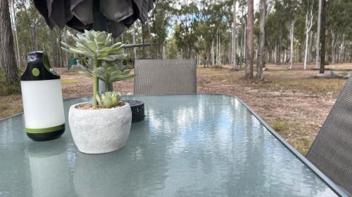 South Isis Otro | Childers Nature Camp