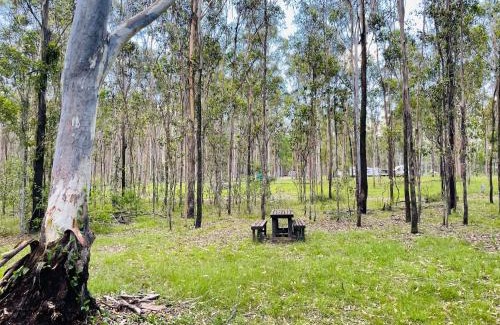 South Isis Otro | Childers Nature Camp