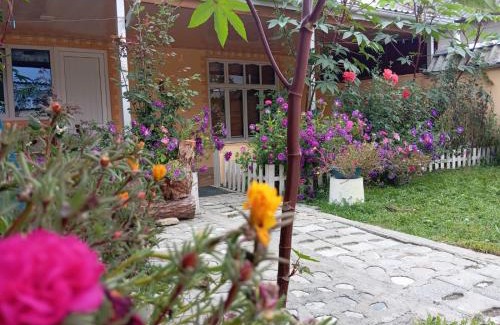 Qusar Casa | Chilegir Host