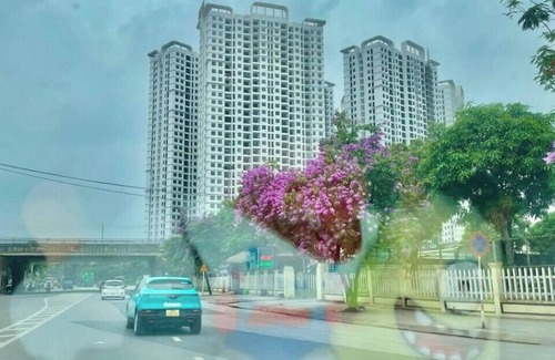 Go La Apartamento | Chill Home - Chung Cư Tecco Elite City