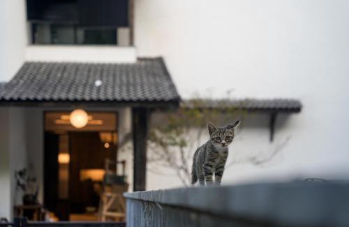 Anji Casa | Chillmont Resort