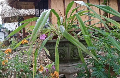 Chiem Hoa Chalet De Esquí | Chin house
