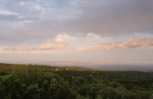 Ionia Apartamento | Chios Cozy Apartment 1