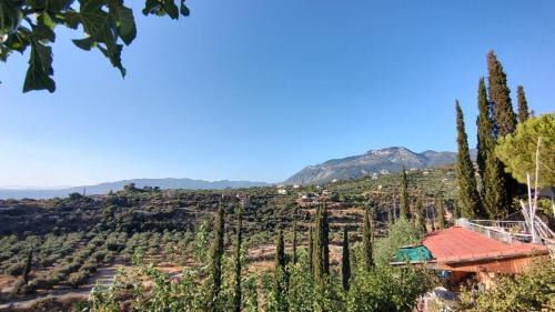 Kalamata Apartamento | Chirios Napa Studios