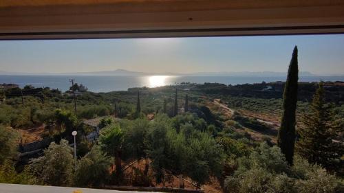 Kalamata Apartamento | Chirios Napa Studios