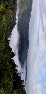 Rajakkad Casa | Chittadiyil Homestay