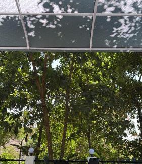 Rajakkad Casa | Chittadiyil Homestay