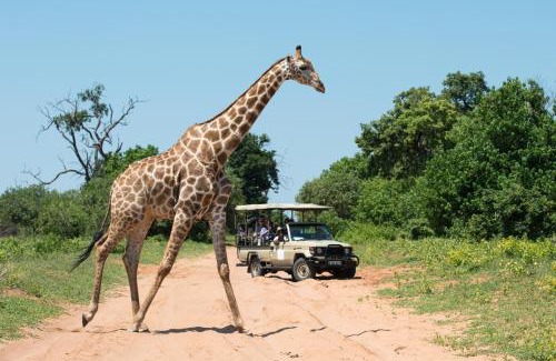 Zambezi Region Cabina | Chobe Water Villas