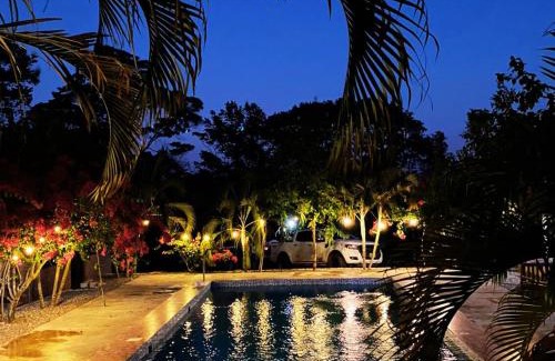 La Banda de Shilcayo Apartamento | CHOCLINO ECOLODGE -Bungalows con Piscina privada, Mirador y Tours en la selva