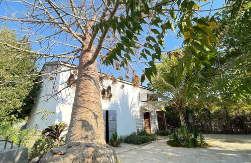 Menabe Casa | Choose a family vacation rental in Morondava!