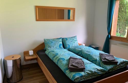 Grindelwald Apartamento | Chrinnengletscher