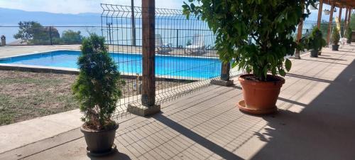 Elshani Apartamento | CHRIS sopo
