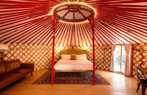 Dripping Springs Otro | Chrissie Ger in Dripping Springs, TX