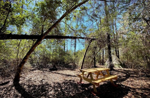 Cantonment Alquiler De RV | Christian Retreat Campsite #2 - Cozy Canopy