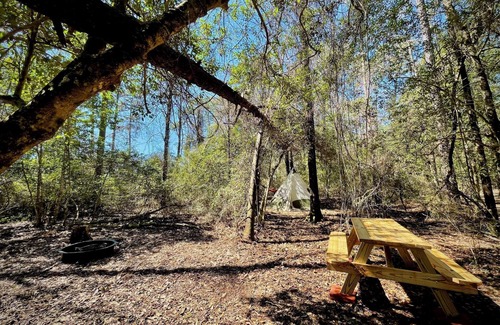 Cantonment Alquiler De RV | Christian Retreat Campsite #2 - Cozy Canopy