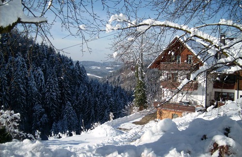 Oppenau Apartamento | Christianshof - Holiday Apartment '2' with Mountain View, Shared Garden and Wi-Fi