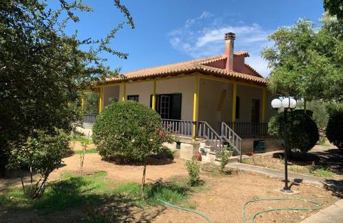 Ilida Casa | Christinas Home