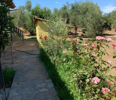 Ilida Casa | Christinas Home