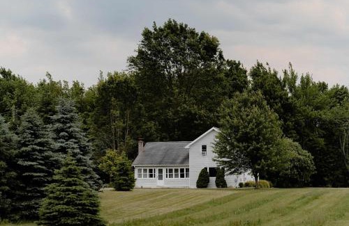 Benton Harbor Casa | Christmas Tree Farm - Evergreen Escape