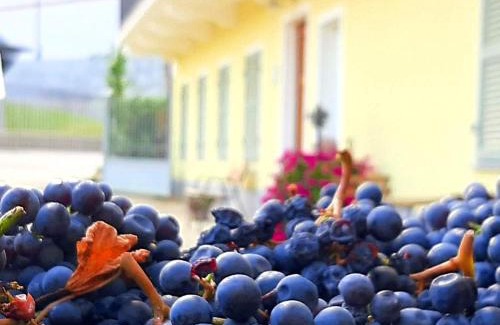 Barolo Apartamento | Ciabot delle Aie - Barolo