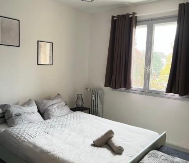 Mulhouse Apartamento | CICONIA : CENTRE-VILLE MULHOUSE, PARC NOUVEAUX BASSINS A PROXIMITE