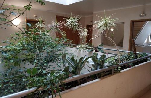 Figueira da Foz Apartamento | Cidade da Praia