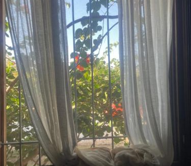 Vittoria Casa | Cielo Stellato