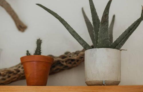 Todos Santos Casa | Cien Palmas- Authentic Mexican Casita 2 -Downtown