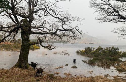 Killarney Cama Y Desayuno | Cillcearn House
