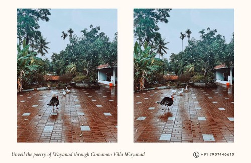 Mananthavady Apartamento | Cinnamon Villa Wayanad
