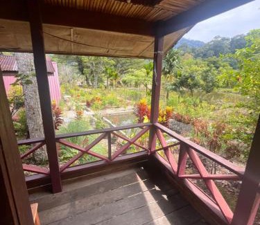 Ketambe Casa | Cinta alam inn
