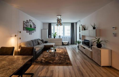 Szekesfehervar Apartamento | City Apartman Székesfehérvár