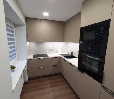 Siauliai City Center Apartamento | City apartment 2 bedrooms