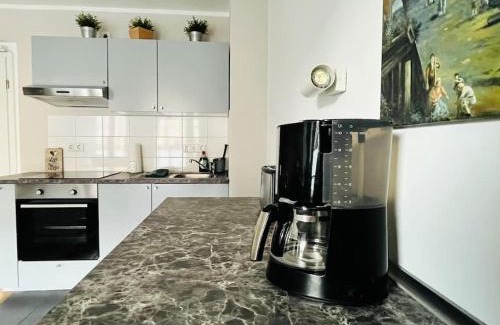 Wilsdruffer Vorstadt/Seevorstadt-West Apartamento | City-Apartment im Herzen der Dresdner Altstadt