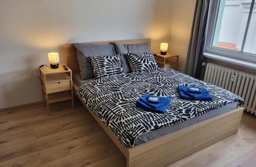 Brno-stred Apartamento | City Center Apartments - Moderna Brno Římské náměstí I