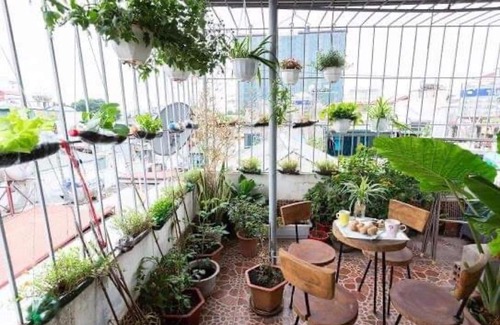 Đien Bien Casa | City center homestay with natural garden